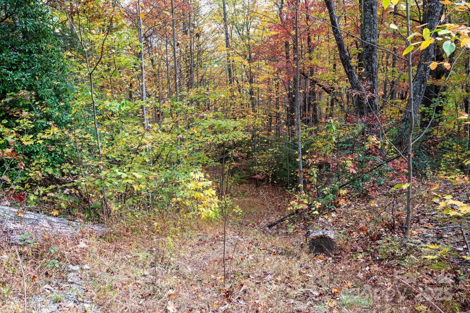 Property Photo: 4B Lower Flat Creek Road NC 28711