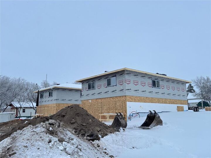 Property Photo:  209 Lorne Avenue  MB R0J 0B0 