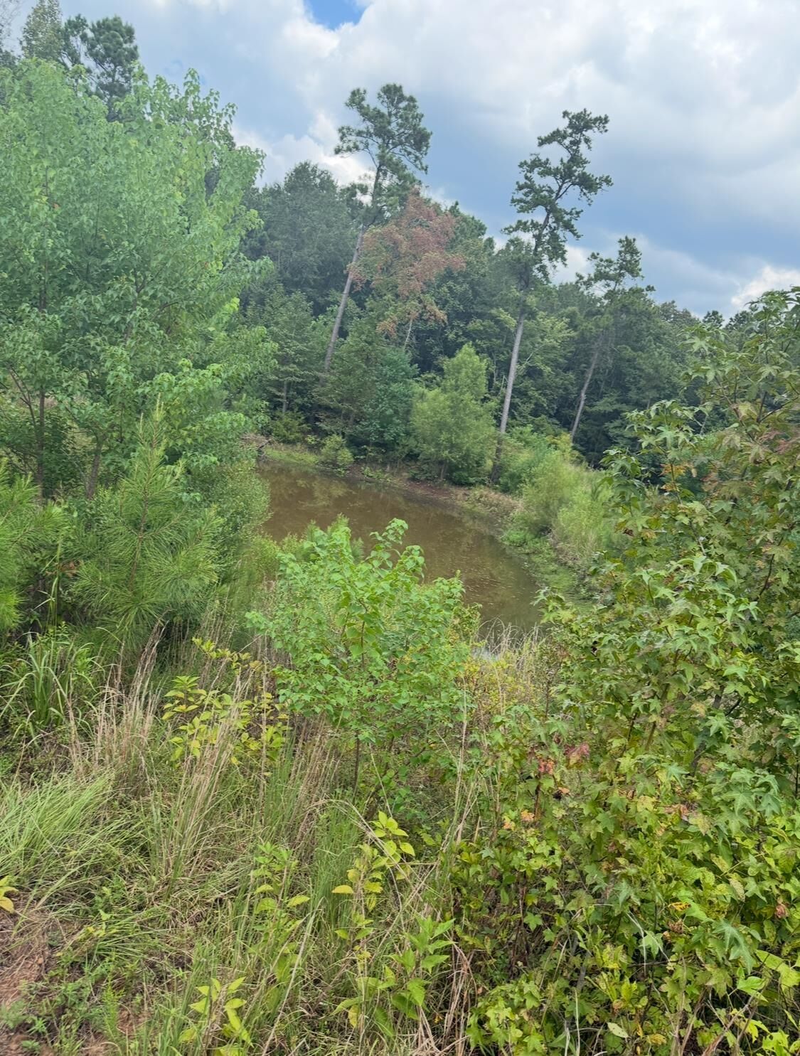 Property Photo: 12543 N Fm 225 TX 75760