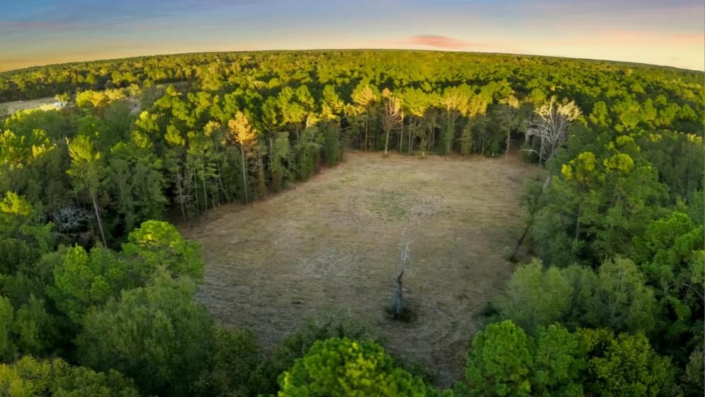 Property Photo: 17453 Shop Branch TX 75949