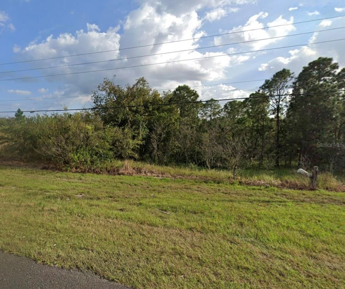 Property Photo:  US Highway 17  FL 33844 