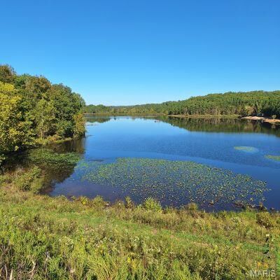 Property Photo:  4 Turkey Creek  MO 63951 