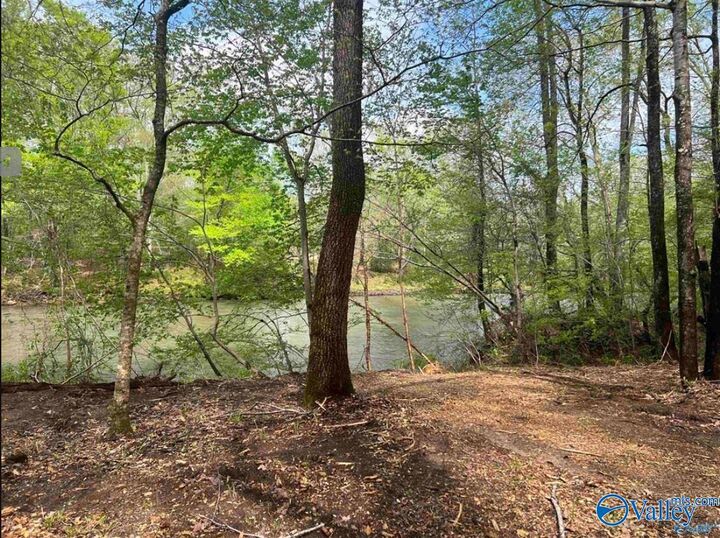 Property Photo: Lot10 Little River Landing AL 35959