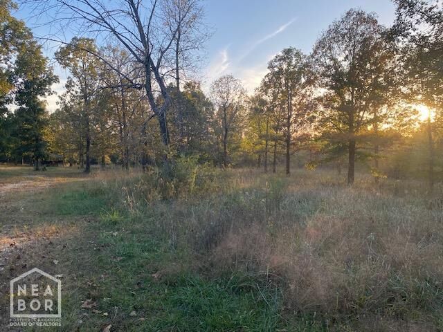 Property Photo: 1580 Sierra AR 72455