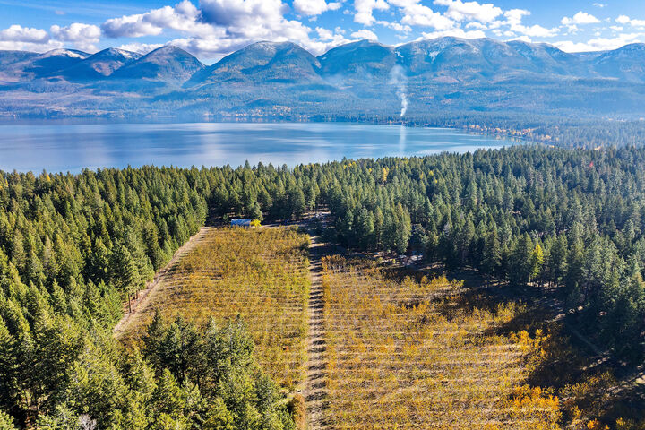 Property Photo:  34310 Sweet Cherry Lane  MT 59860 