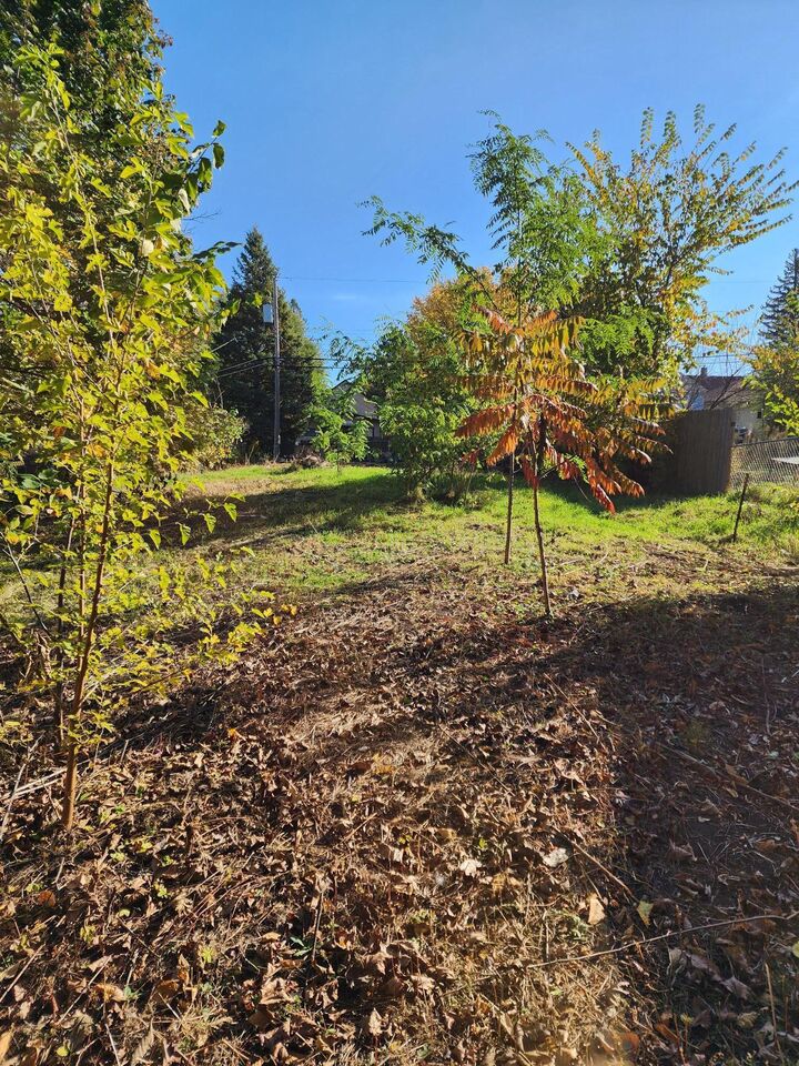 Property Photo: 3718 Lyndale Avenue N MN 55412