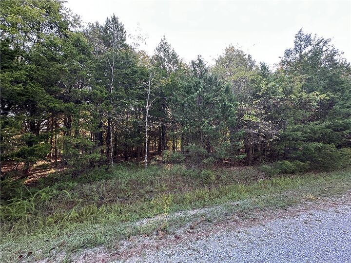 Property Photo:  001 Hand Cove Road  AR 72531 