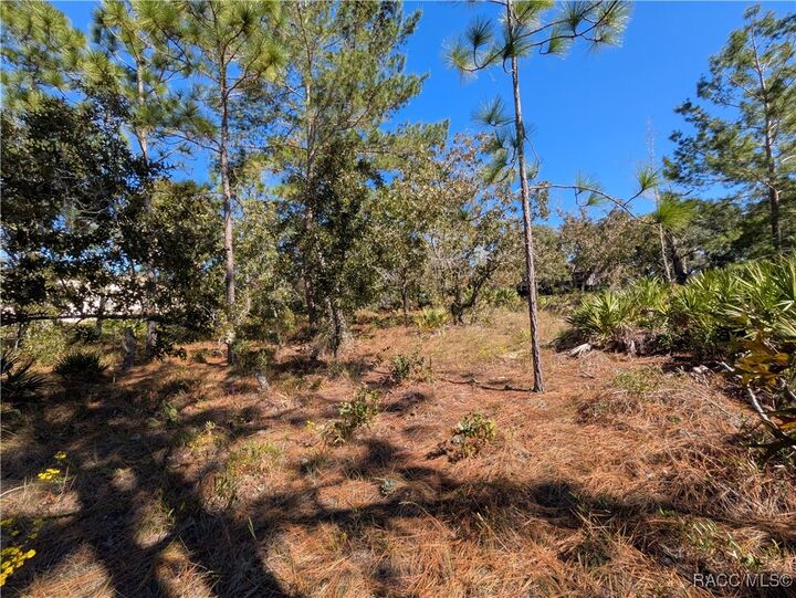 Property Photo: 5 Dahlia Court N FL 34446