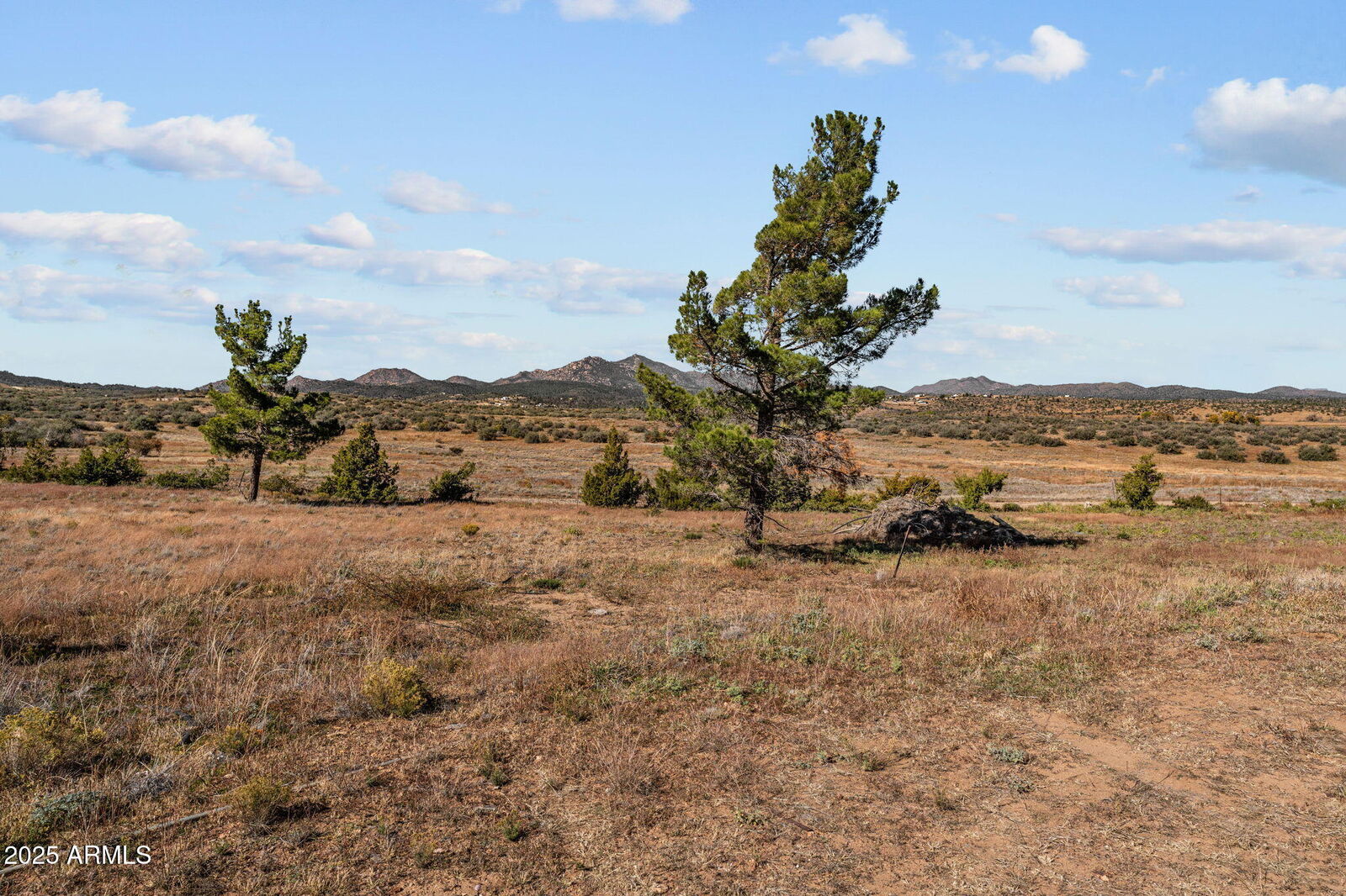 Property Photo:  41ac Sickles Ranch Road -  AZ 86332 