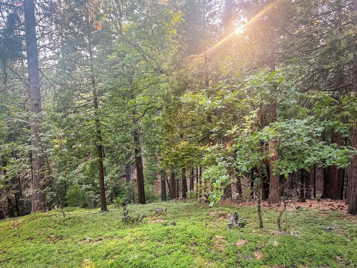 Property Photo: 1800 Kit Carson Circle CA 95223