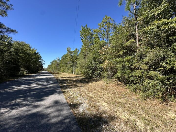 Property Photo: Parcel B Bear Head Road FL 32539