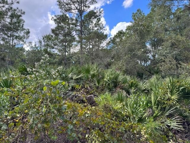 Property Photo: 12th Avenue FL 32724