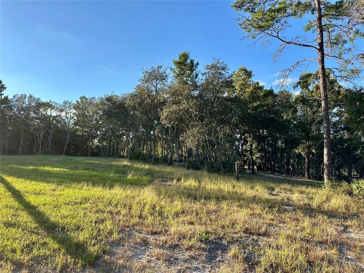 Property Photo:  401 Dumbarton Avenue  FL 32181 