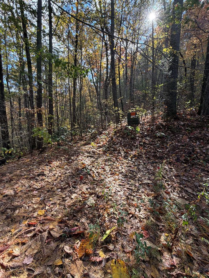 47/48 Little Secret Ln  Murphy NC 28906 photo