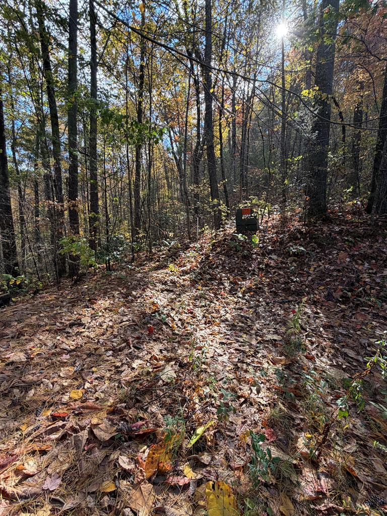 Property Photo: 47/48 Little Secret Ln NC 28906