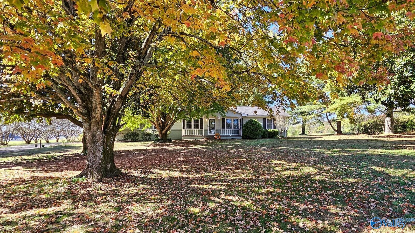 Property Photo:  12841 Mooresville Road  AL 35613 