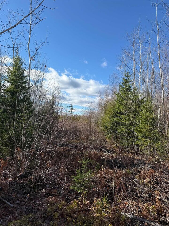 Property Photo:  B Mackay Road  NS B0K 1N0 