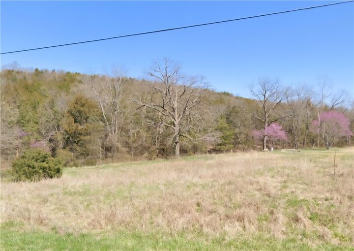 Property Photo:  294 Stateline Drive  AR 72631 