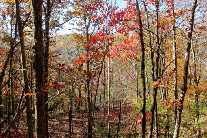 Property Photo:  2590 Madison 3370  AR 72776 