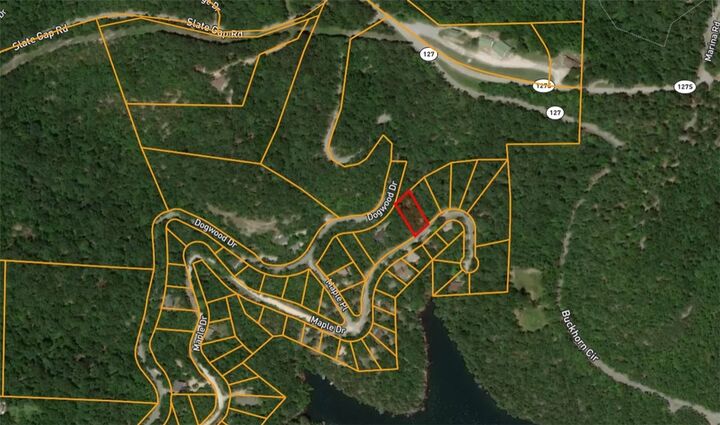 Maple Drive  Rogers AR 72732 photo