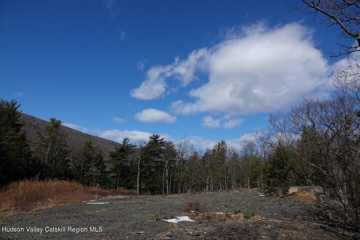 Property Photo:  Tbd Manorville  NY 12477 