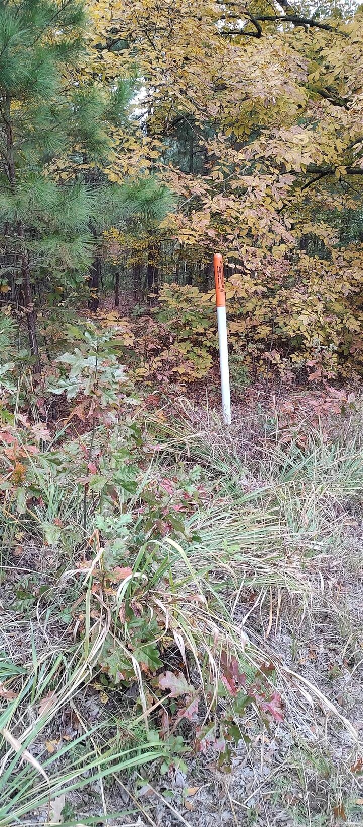 Property Photo: 2 Acres Hwy 79 N AR 71742