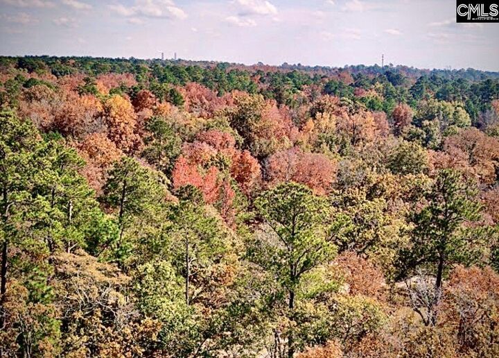 Property Photo: 1435 Community Pond SC 29044