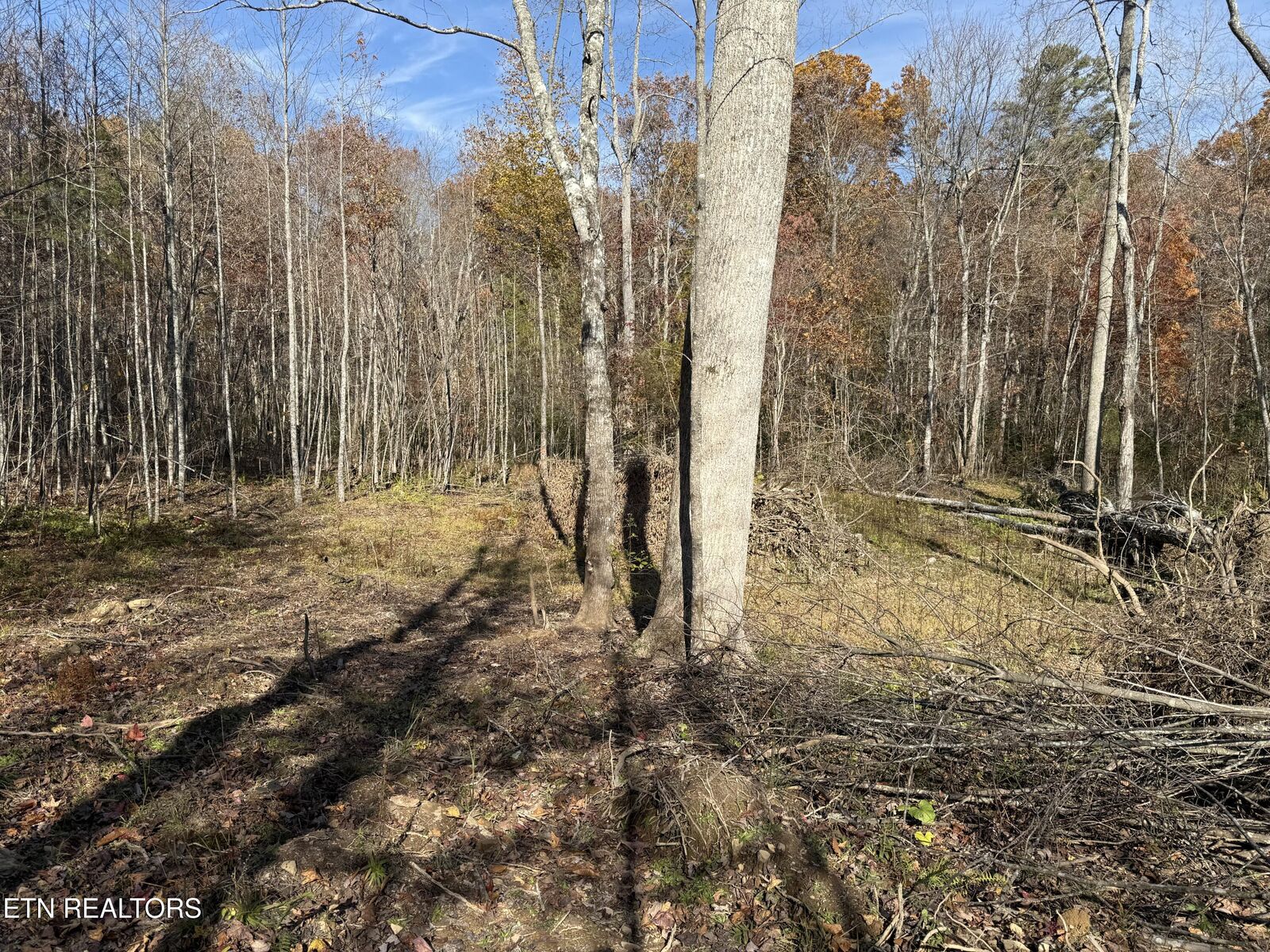 Property Photo:  608 Belmont Drive  TN 38574 