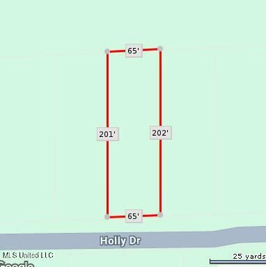 Property Photo: Holly Drive MS 39452