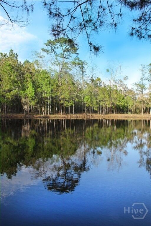 Property Photo:  1 William'S (36 Lots 95 Acres) Retreat  GA 31419 