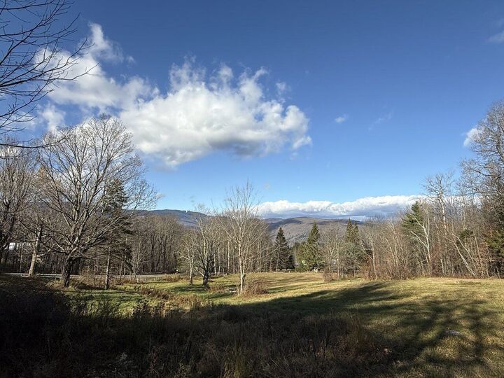 Property Photo:  239 Ski Valley Road  VT 05673 