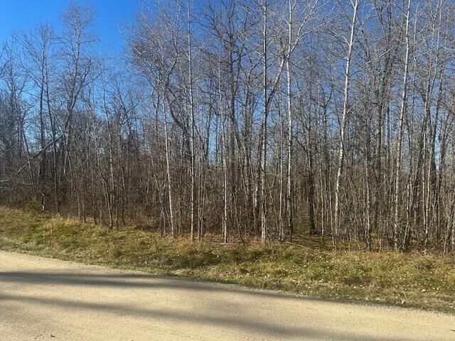 Property Photo: Tbd Crest Court NE MN 56601