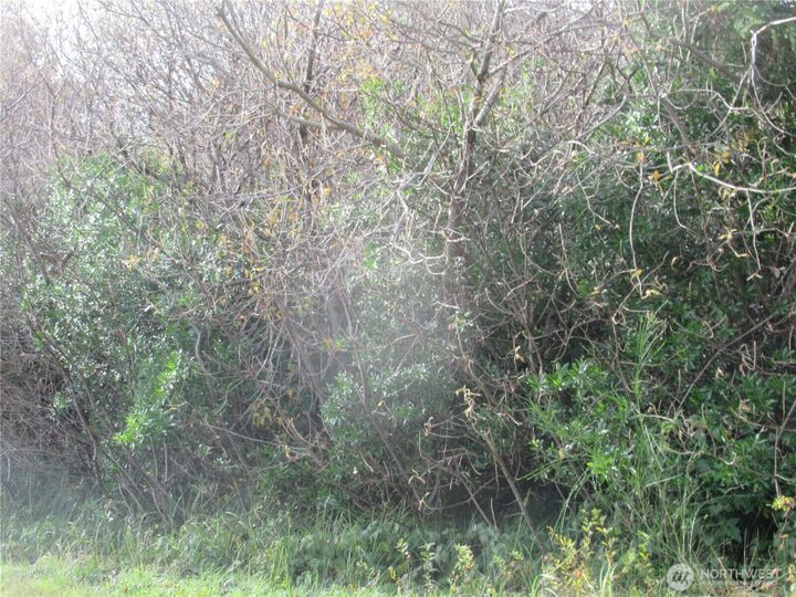 Property Photo: 4 Driftwood Drive WA 98569