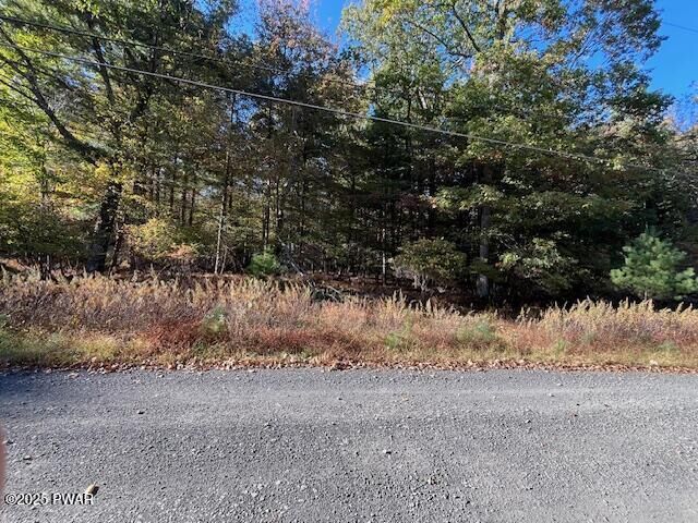 Property Photo: Lot 247 Squirrel Road PA 18328