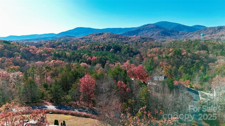 Property Photo:  301 Peaks Drive  NC 28746 