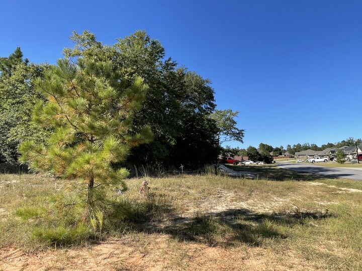 13.24 Ac Willow Creek  Crestview FL 32539 photo