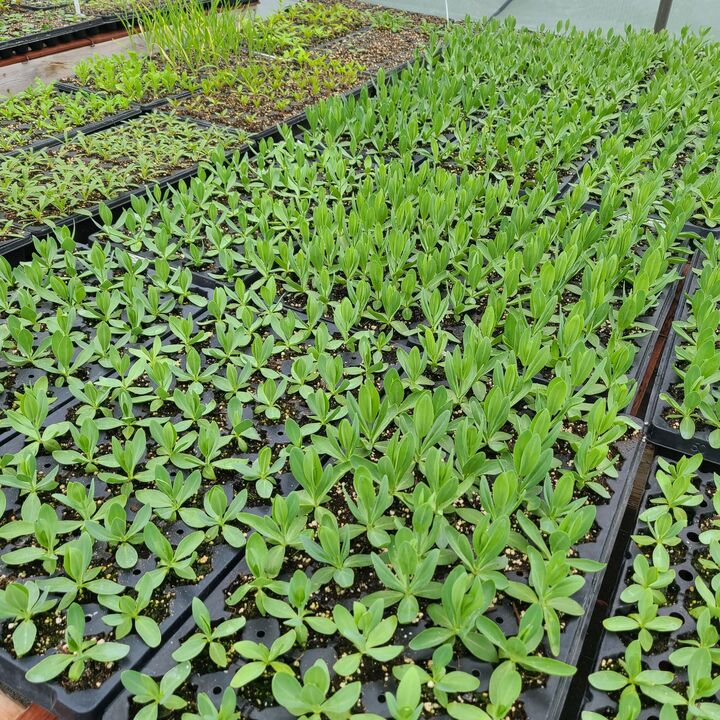 Property Photo: 645 S Meridian Road MI 49247