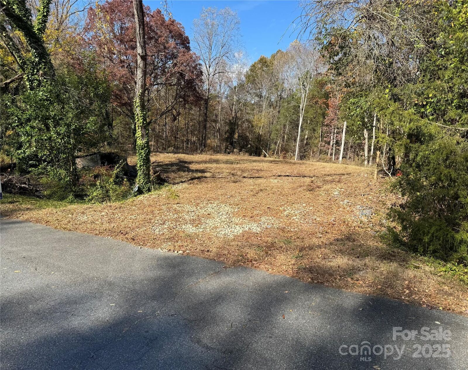 Property Photo: 8730 Hills Dell Drive NC 28027