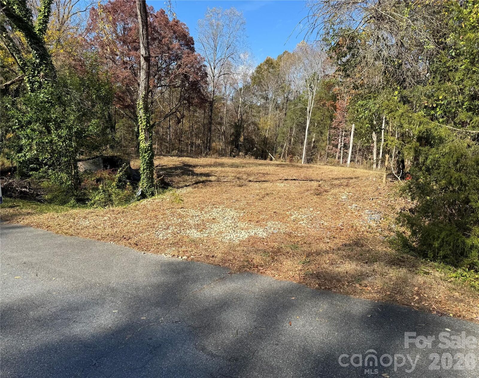 Property Photo: 8730 Hills Dell Drive NC 28027