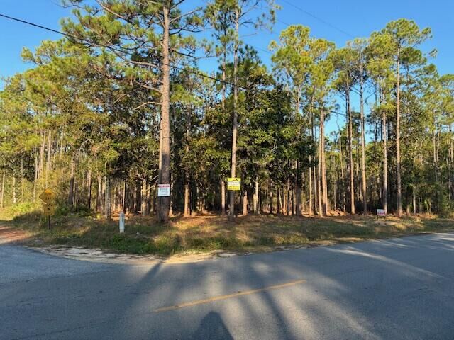 Property Photo: 00 Indian Woman Road FL 32459