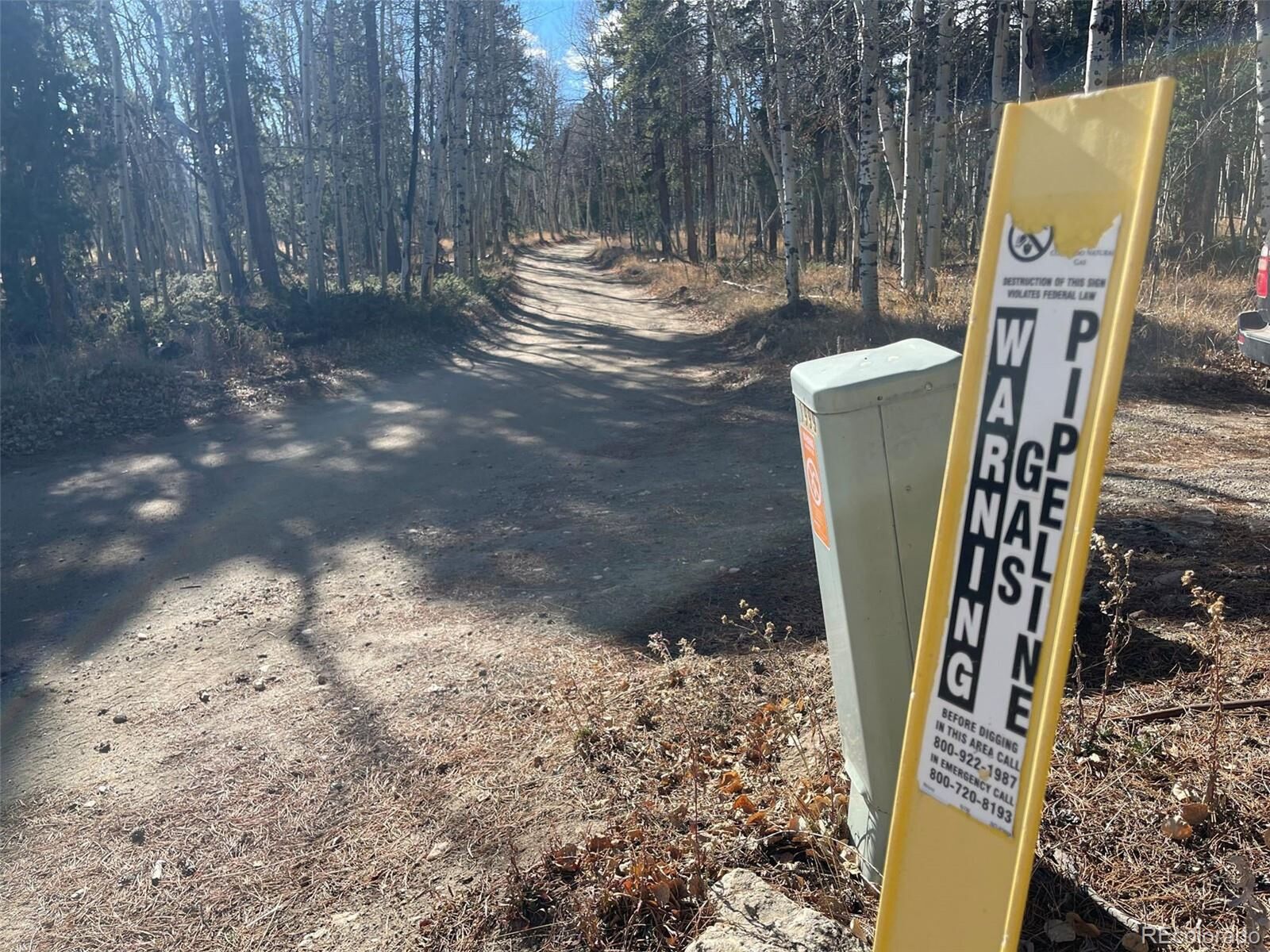 Property Photo:  480 Creekwood Trl  CO 80422 