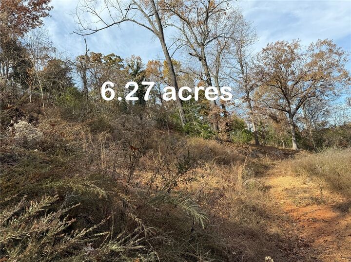 Property Photo:  9087 Bluff Drive  AR 72756 