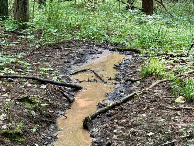 Property Photo:  0000 W Empire Highway  MI 49630 