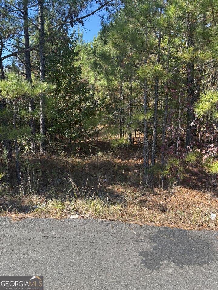 Property Photo:  130 Chase Court NW  GA 31061 