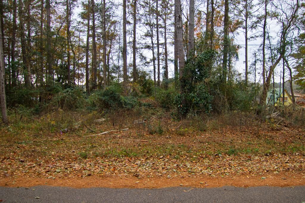 Property Photo:  0 Pine Lake Drive  GA 31833 