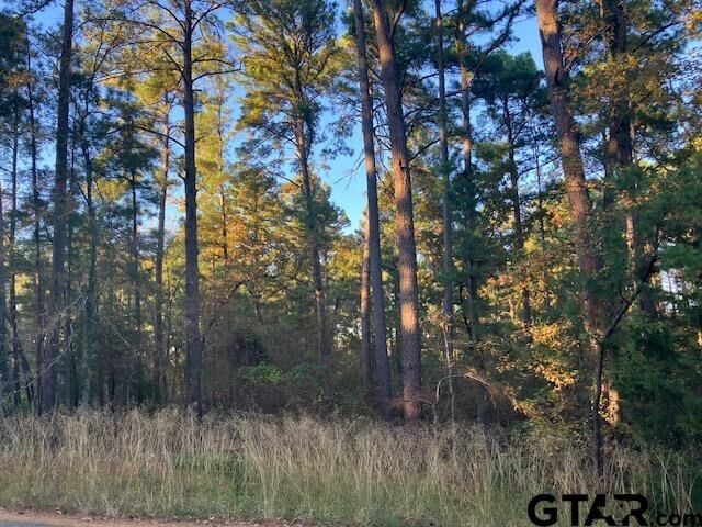 Property Photo:  1657 Pineview Dr  TX 75771 