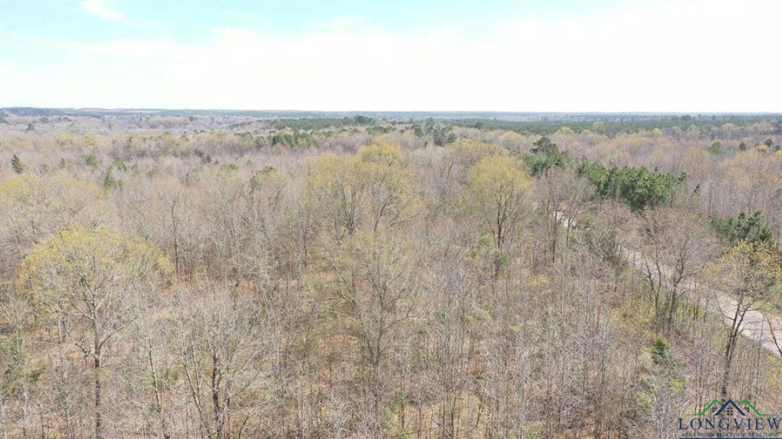 Property Photo:  Tbd Fm 1399  TX 75566 