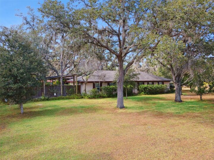 3137 Diana Drive  Zephyrhills FL 33541 photo