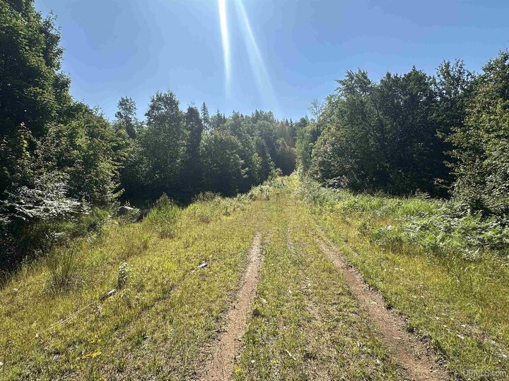 Property Photo:  Lake Arvid Off Indian Lake Road  MI 49861 