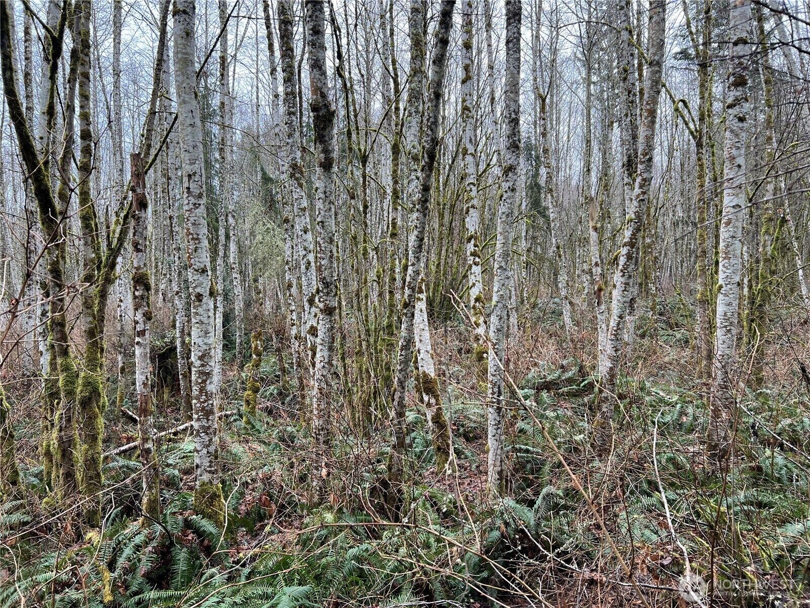 Property Photo: 3 Xx Scenic Drive WA 98370